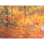 Autumn Reflection In Pond Print-65780887-65780888-92903880