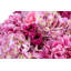 Paloma RealTouch Mixed Floral Arrangement