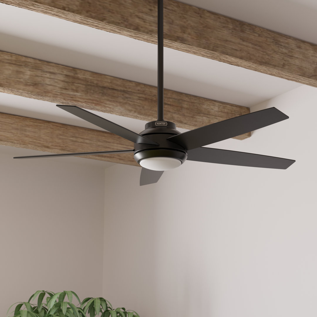 52" Zayden 5 - Blade Ceiling Fan With Lights and Remote Hunter Fan 