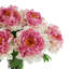 Arrangement floral pivoines dans un vase