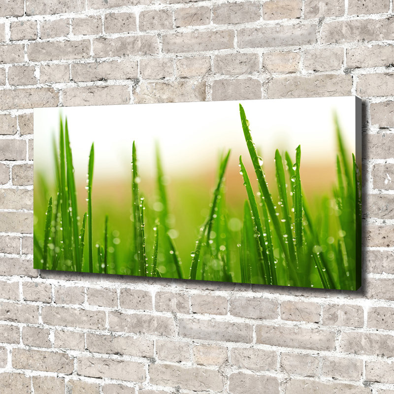 Grass - Wrapped Canvas Print