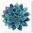 " Succulent Lovers "-584054267
