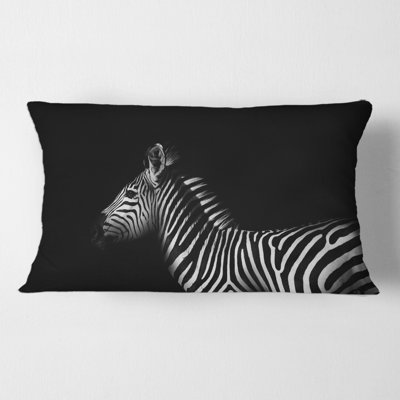 Sideview Of Zebra In Black And White