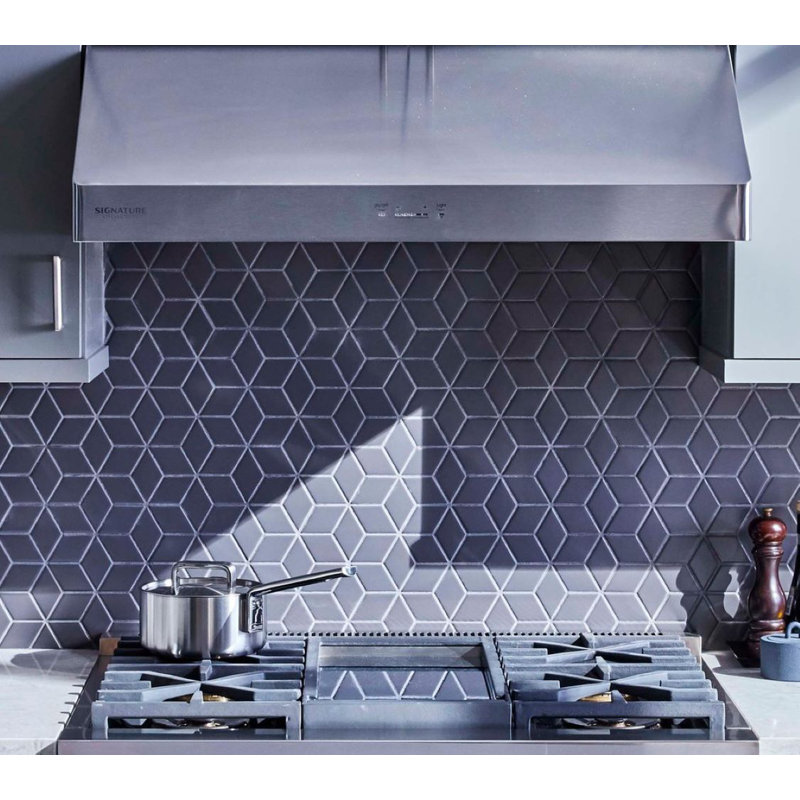 48" Professional Vent Hood