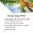 " Close Up Of A Coconut Tree " by Jan Becke