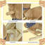 Bear Animal Rocker,Baby Rocking Horse