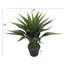 Agave artificielle Sansevieria en pot