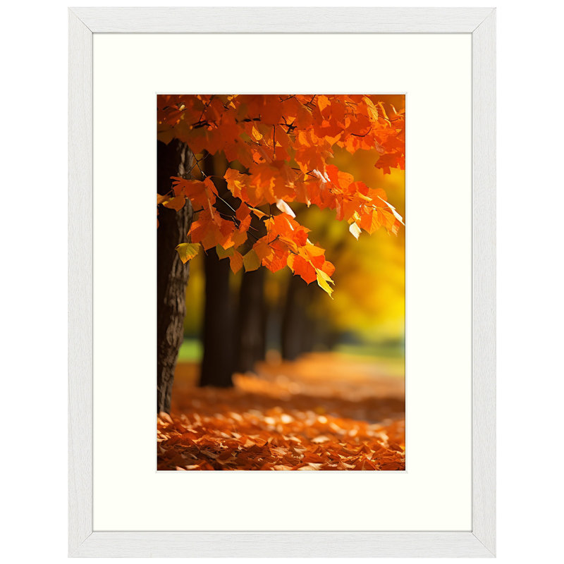 Cadre photo Hazelrose, Blanc, 8 po x 12 po, 12 po x 16 po