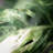 Artificial Variegated Leaf Wreath 28"H; Green