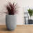 Gethsemane Pot Planter-1507881370-1522835328