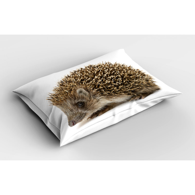 Taie décorative hedgehog, Simple