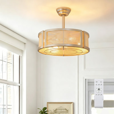Ventilateur de plafond en cage 19,6 "avec ensemble d'éclairage intégré et télécommande Blashford