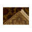 Wool Oriental Area Rug in Brown