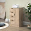 Armoire de salle de bain pour salle de bain, en chêne - 4 tiroirs et porte pour cabinet d'optimisation de l'espace avec porte, rangement fonctionnel