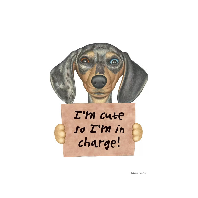 Dachshund I'm Cute Two Eye Colorus by Danny Gordon - Wrapped Canvas Graphic Art