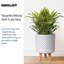 Dotted Style Cylinder Planter with Feet Concrete Effect Cylinder Round Planter on Hardwood Legs, Round Indoor Plant Pot Stand for Indoor Plants, Indoor Flower Pot with Dotted Pattern-1274800034-1274800039