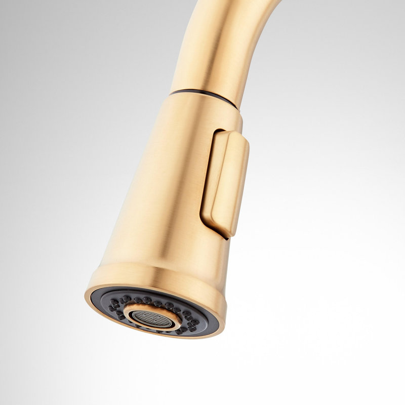 Greyfield Pull Down Single Handle Kitchen Faucet with Accessories, Brushed Gold