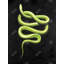 Green Snake - animaux contemporains, toile encadrée décorative