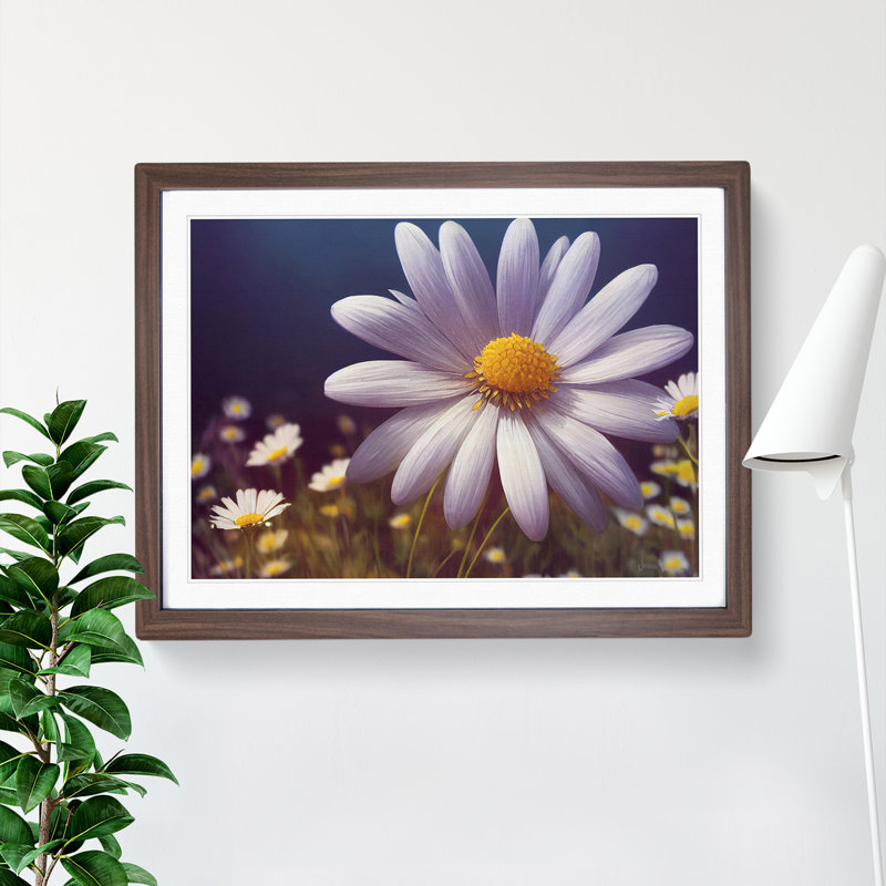 Extravagant Daisy Flower - Single Picture Frame Print, 34cm H x 46cm W x 2cm D, Walnut Framed