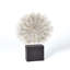 Tumble Weed Sculpture-38431517-64114091