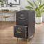 Classeur vertical 2 tiroirs Dahle-1912160070