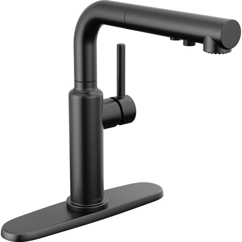 Daneri Pull-Out Sprayer Kitchen Faucet, Single Handle Kitchen Sink Faucet, Matte Black