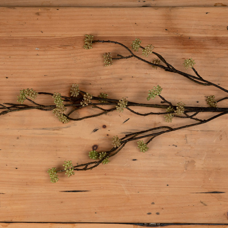 Anastasija Arrangement