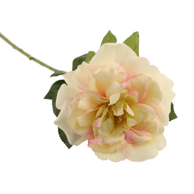 Faux Silk Rose Arrangement, Cream/Pink