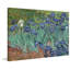 "Irises", reproduction sur toile tendue-199817725