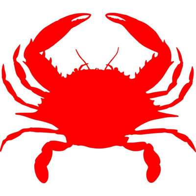 Nautical & Beach Non-Wall Damaging Wall Decal