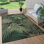 Tapis intérieur / extérieur Deirdre Jungle Design avec palmiers verts