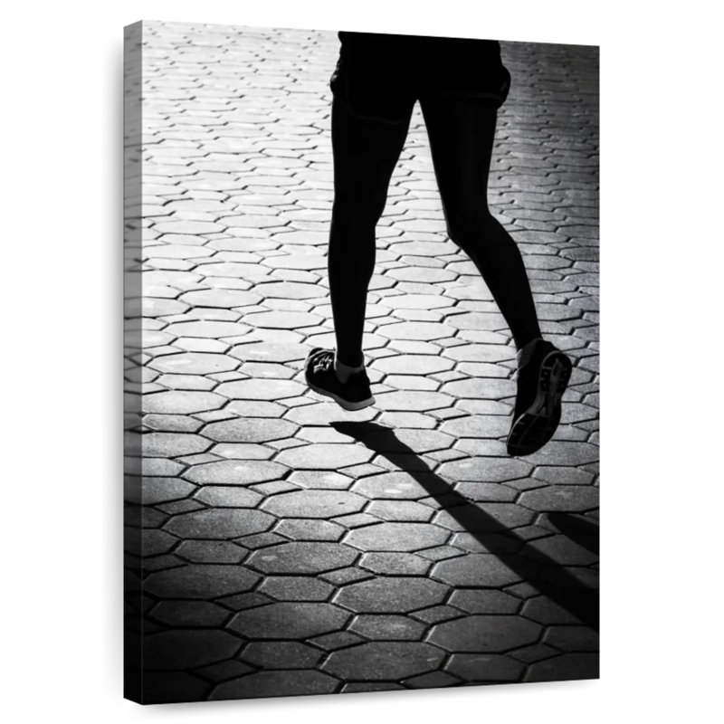 Sireci BW Jogging, 24" H x 16" W