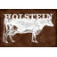 Cows Holstein - Wrapped Canvas Print-965002988