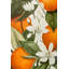 Floral Wallpaper-588587263