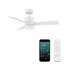 Ventilateur de plafond intelligent à 3 pales de 44 po pour l'extérieur et l'intérieur avec télécommande et ensemble d'éclairage à DEL inclus-50617993-50617989-118433076