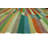 Eladio Wool Indoor Rug