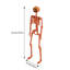 Halloween Decorative Accent-6723306