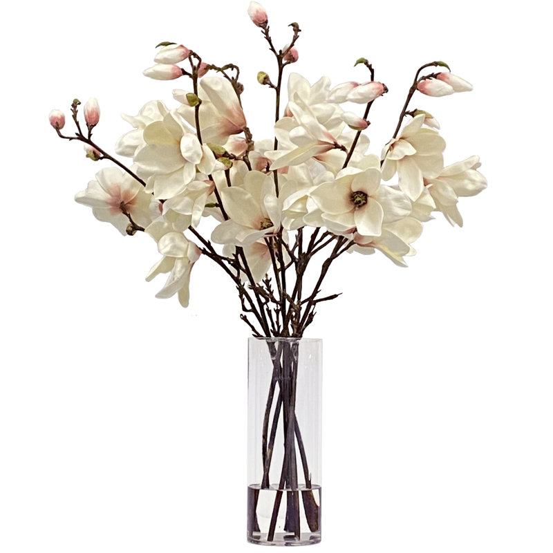 Tree Magnolia In Vase