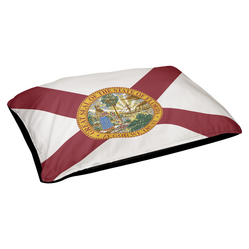 Coussin de concepteur à drapeau de floride Burien, L 42 po x l 52 po, Noir