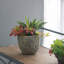 Pot à fleurs en ciment Berube-977347527