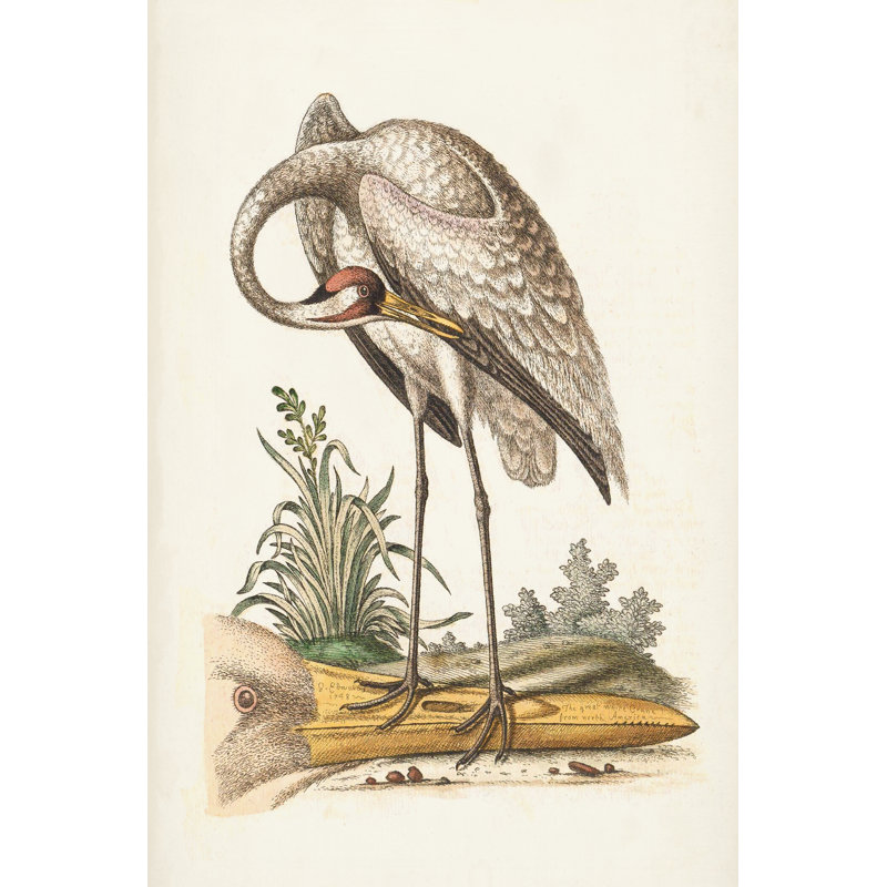 Antique Heron & Cranes IV - Painting, 76cm H x 51cm W, Wrapped Canvas
