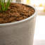 Grand pot à fleurs rond moderne de 28 pouces XBrand, parfait pour les pots d'intérieur et d'extérieur-1590253024