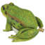 Statue de grenouille amicale passepoilée