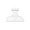 Barn 1 - Light Outdoor Semi Flush Mount