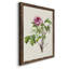«Pretty Pink Botanicals V», reproduction sur toile encadrée-424888227-424888255