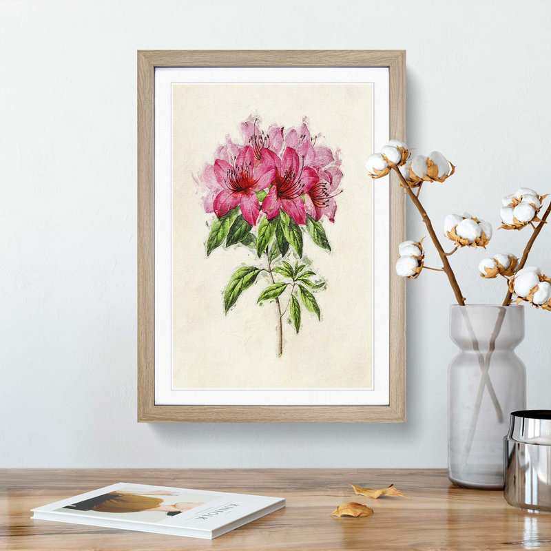 Illustration of a Bunch of Pink Azaleas - Picture Frame Painting Print, Oak Framed, 48cm H x 36cm W x 2cm D