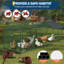 Chicken Coop