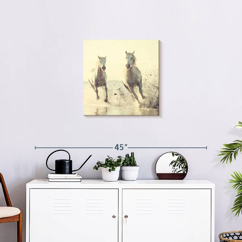 Brampt, chevaux français blancs