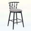 Chaises d'appoint d'intérieur, ensemble de 2-1298809111