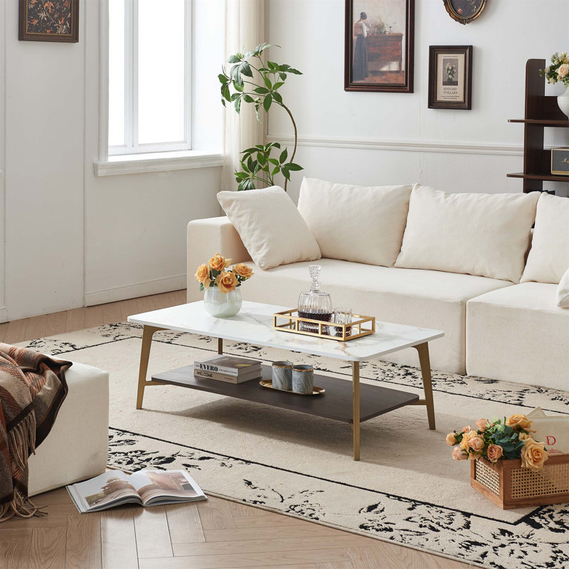 Table basse élégante avec rangement ouvert et structure en métal durable pour les salons modernes